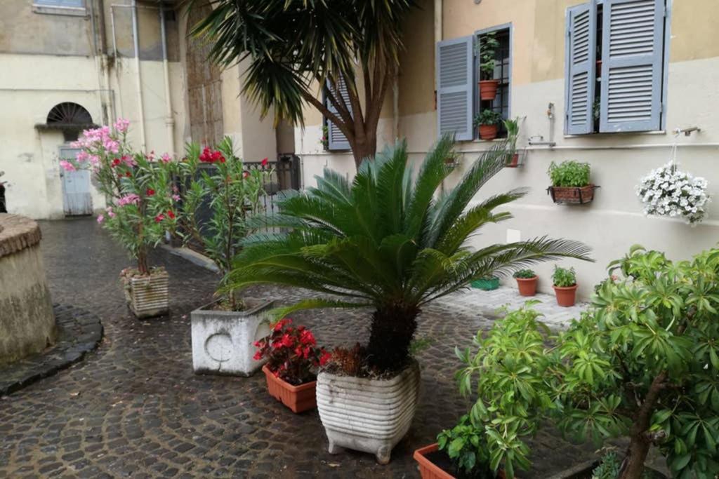 Trastevere House Apartment Рим Екстериор снимка